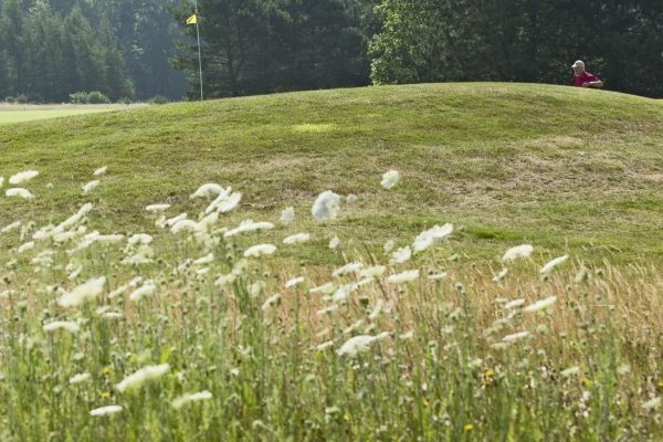 Duurzaam beheer